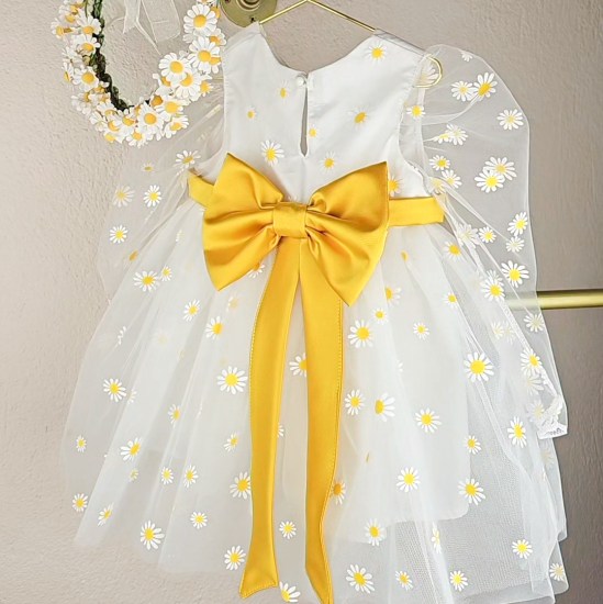 VID_20250926_071408_505 (1)